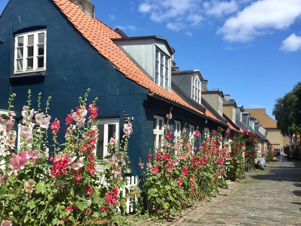 Aarhus Streets in summer