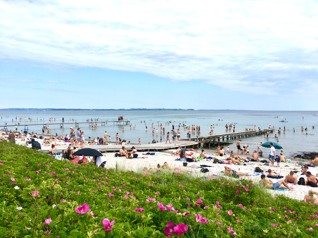 Risskov Beach in summer